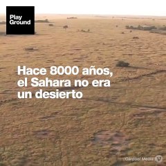 ¿Creó el ser humano el desierto más grande del planeta?