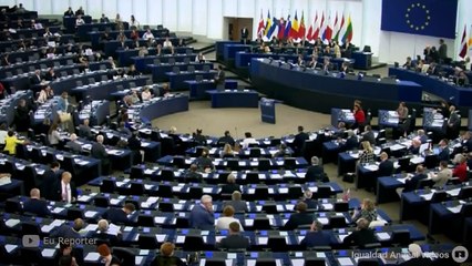 El Partido Popular Europeo contra la ley de prohibición del enjaulamiento de los conejos de granja