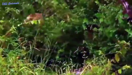 동해출장서비스 동해출장서비스O1Og4832g2166｛카톡MGM85｝ 동해출장마사지샵 동해출장안마on동해출장안마cos여3♪⇔∃마사지황형♥▽≪