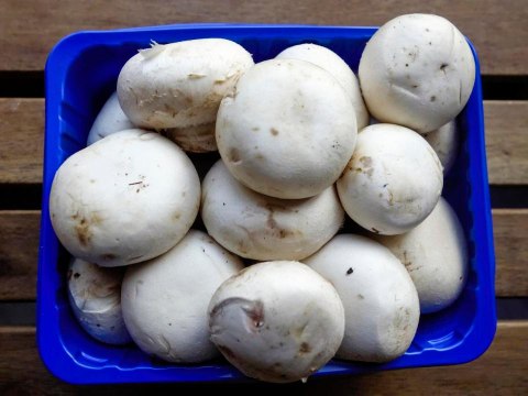 How to Turn Plain Old White Button Mushrooms Into One of The Most Incredible Ingredients In Your Kitchen