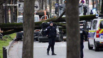 Fallen tree kills one person in Paris after strong winds