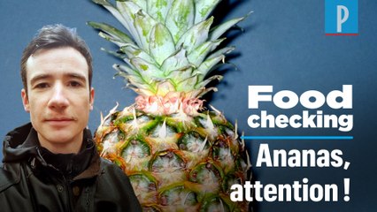 Ce que vous devez savoir avant de manger des ananas du Costa Rica