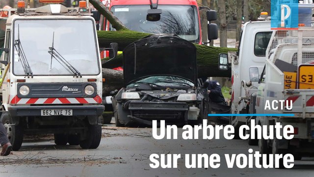 Vents violents à Paris : un automobiliste tué par la chute d’un arbre