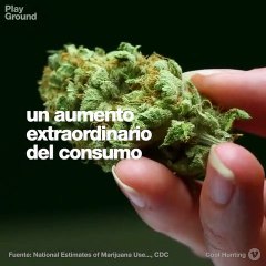 ¿Se está convirtiendo la marihuana en una droga de adultos? Los datos de un nuevo estudio indican que sí.
