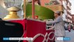Europe : ces carnavals qui font scandale