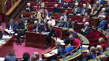 QAG - Vincent SEGOUIN "Pouvez-vous nous assurer que les capitaux français demeurent majoritaires dans ce fonds ?"