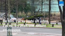 Un arbre écrase une voiture et tue le conducteur quai Branly à Paris :  le témoignage de Liès, un passant