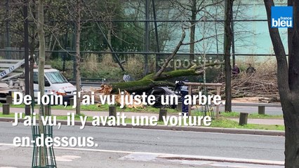 Un arbre écrase une voiture et tue le conducteur quai Branly à Paris :  le témoignage de Liès, un passant