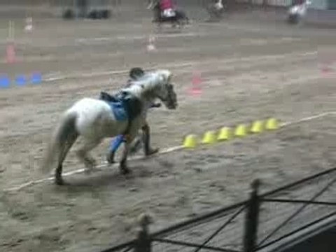 Ronchin 10.02.08 Marches