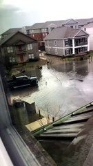 That's One Way to Get Around a Flooded Street