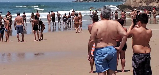 Plane Makes an Emergency Landing at the Beach