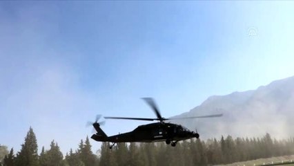 Helikopter destekli trafik denetimi