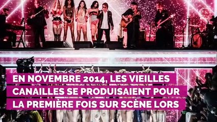 Jacques Dutronc : pourquoi il refuse catégoriquement de faire une tournée avec Eddy Mitchell