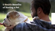 5 Health Benefits of Having a Pet