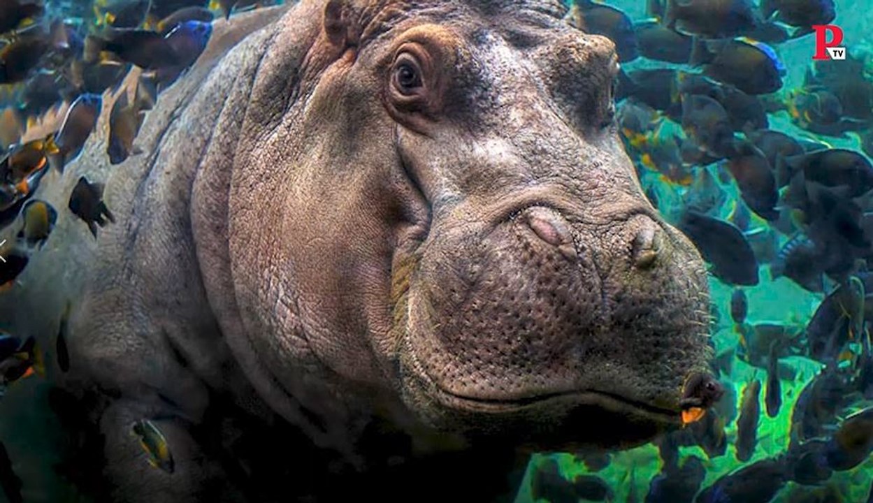 Fotos de premio en océanos, mares y lagos