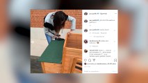 Paz Padilla se fabrica un gallinero para tener 
