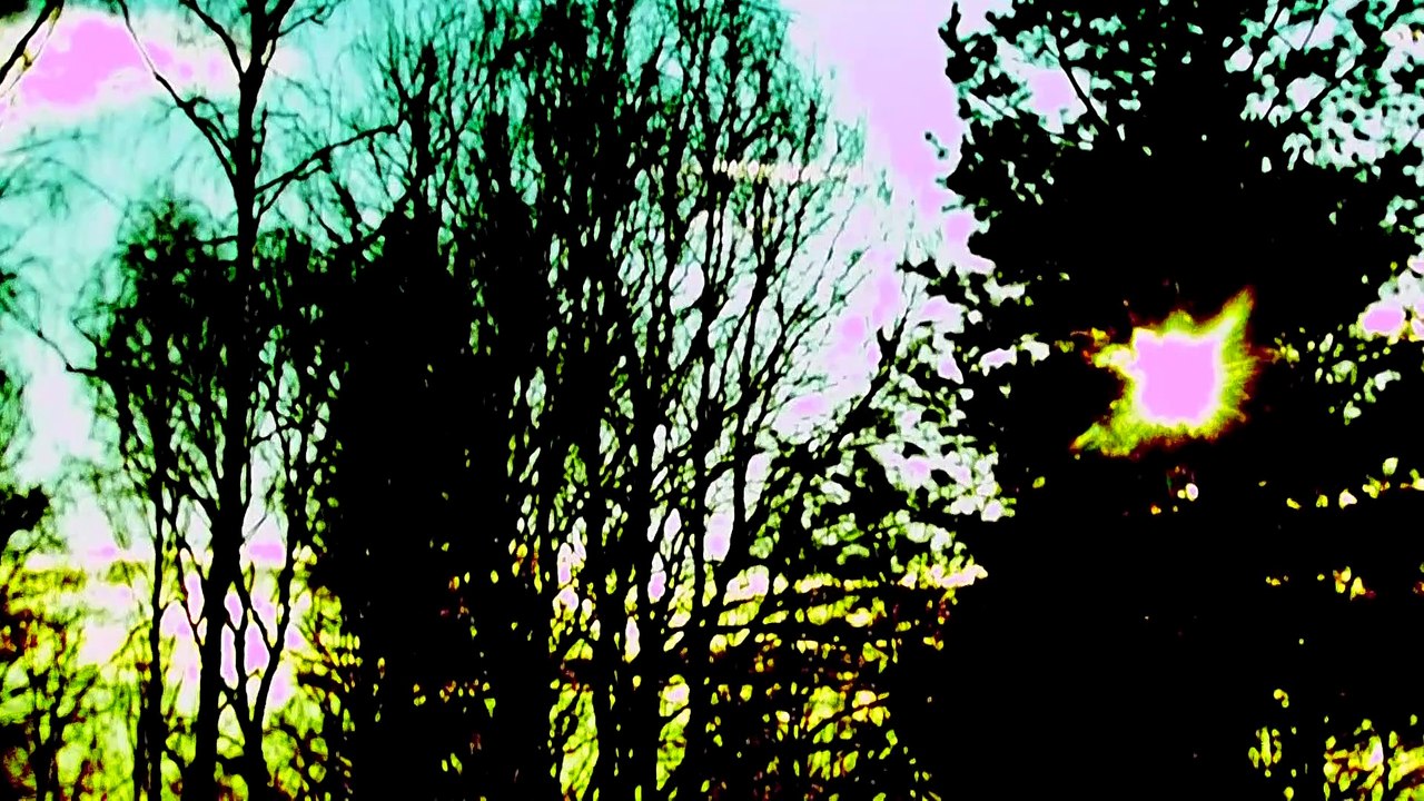 Jan 19 2020 DL2