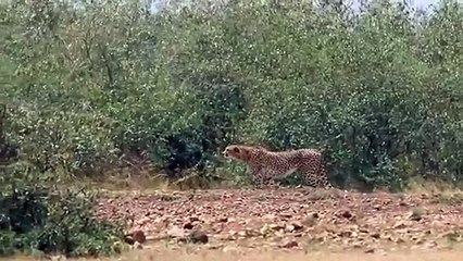 강서출장서비스 강서출장서비스O1OE9914E7203｛카톡MOK8｝ 강서출장마사지샵 강서출장안마on강서출장안마cos여3♪⇔∃마사지황형♥⊉≪