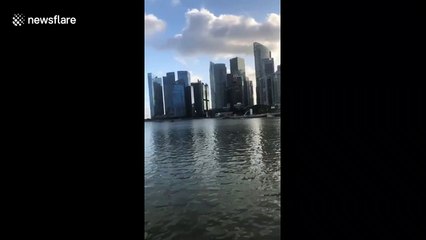 Adorable otter enjoys dinner with a beautiful view of downtown Singapore