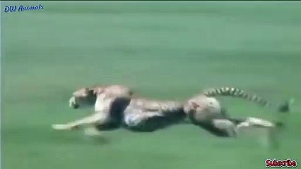 홍천출장서비스 홍천출장서비스O1OE6579E3382｛카톡VS67｝ 홍천출장마사지샵 홍천출장안마on홍천출장안마cos여3♪⇔∃마사지황형♥∊≪