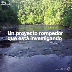 Cómo recuperar los bosques calcinados: jabones ecológicos con ceniza. @ASHESTOLIFEproject, una pequeña idea con un objetivo enorme.
