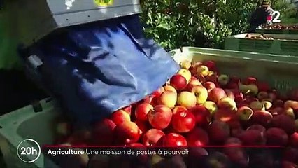 Agriculture : comment expliquer les postes vacants ?