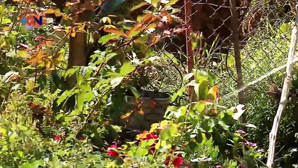 mqn-Milady Cervantes-270220