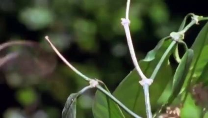 애월출장서비스 애월출장서비스O1Og2154g6609｛카톡VPN58｝ 애월출장마사지샵 애월출장안마on애월출장안마cos여3♪⇔∃마사지황형♥◕≪