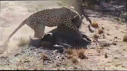 거제출장서비스 거제출장서비스O1OE6579E3382｛카톡COM23｝ 거제출장마사지샵 거제출장안마on거제출장안마cos여3♪⇔∃마사지황형♥⊒≪