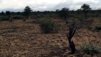 문막출장서비스 문막출장서비스O1Og2154g6609｛카톡VPN58｝ 문막출장마사지샵 문막출장안마on문막출장안마cos여3♪⇔∃마사지황형♥∳≪