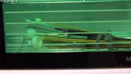 계양출장서비스 계양출장서비스O1OE2104E4640｛카톡MBM6｝ 계양출장마사지샵 계양출장안마on계양출장안마cos여3♪⇔∃마사지황형♥∈≪