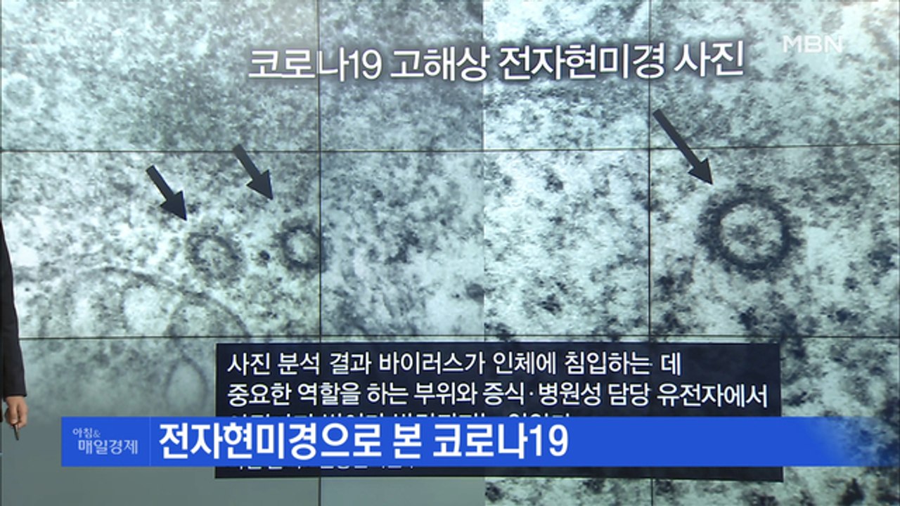 신문브리핑2 "전자현미경으로 본 코로나19"외 주요기사