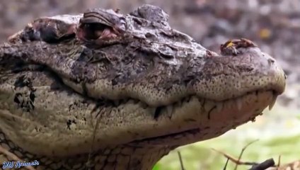 상당출장서비스 상당출장서비스O1Og2154g6609｛카톡MBN74｝ 상당출장마사지샵 상당출장안마on상당출장안마cos여3♪⇔∃마사지황형♥∨≪