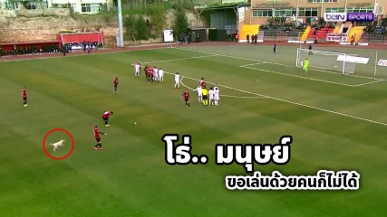 ชาวเน็ตแห่แชร์ !! น้องหมาสุดแสบ แจมการแข่งฟุตบอล ทำป่วนทั้งสนาม