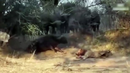 고창출장서비스 고창출장서비스O1Og4832g2166｛카톡QQ565｝ 고창출장마사지샵 고창출장안마on고창출장안마cos여3♪⇔∃마사지황형♥∥≪