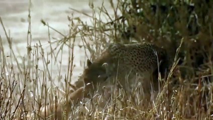 경주출장서비스 경주출장서비스O1OE2908E6803｛카톡ABC23｝ 경주출장마사지샵 경주출장안마on경주출장안마cos여3♪⇔∃마사지황형♥⊀≪