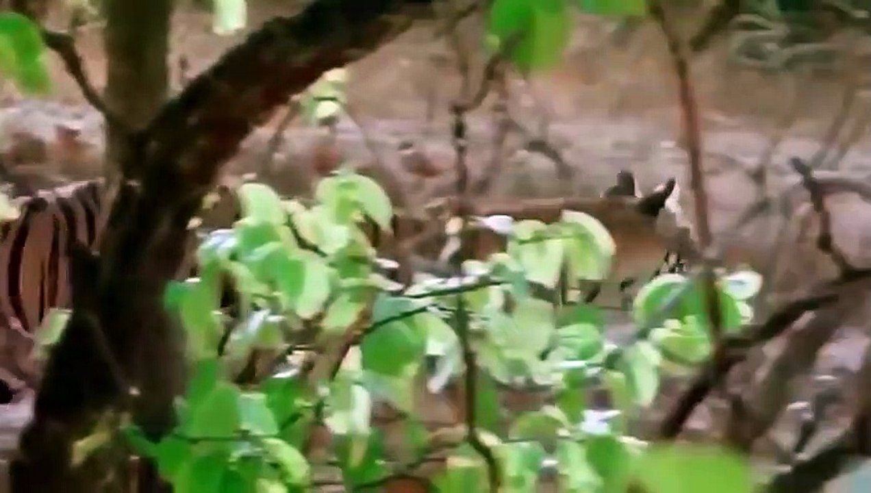 서산추천업소【OI0↔29O8↔68O③】서산추천업소예약♥≢≪
