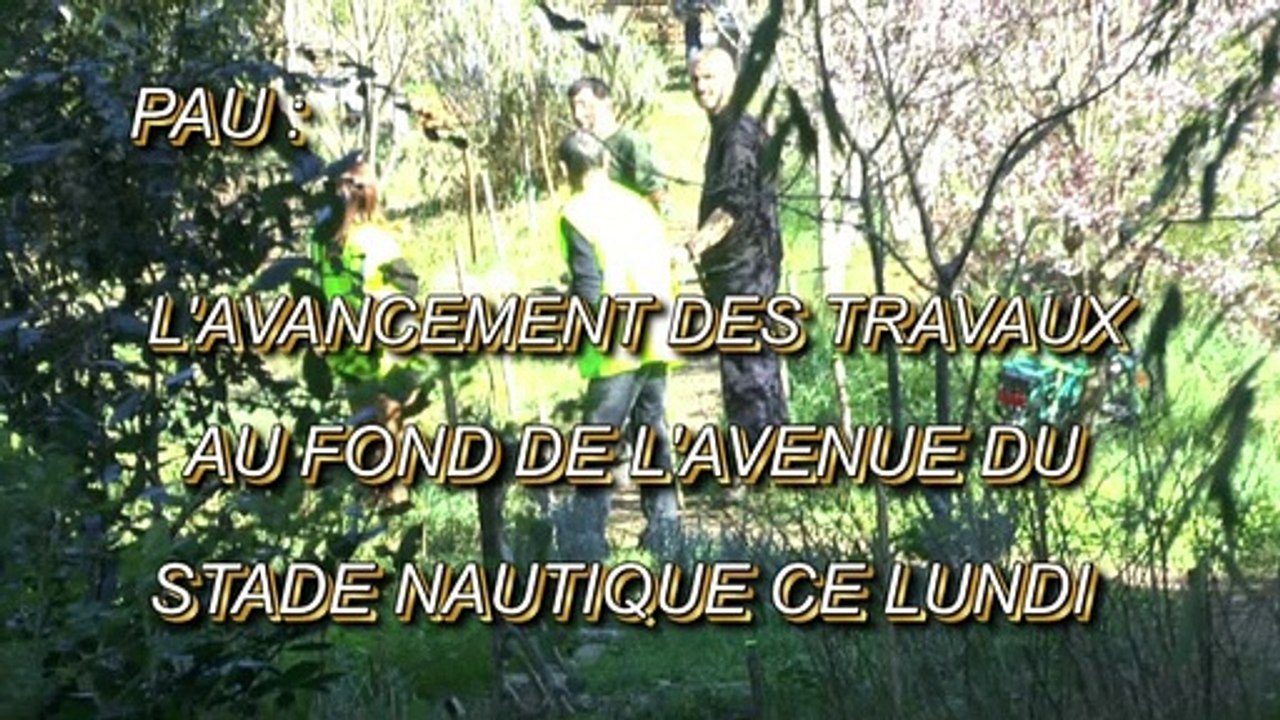 LES W-D.D. MICHOU NEWS - 24 FÉVRIER 2020 - PAU - L' AVANCEMENT DES TRAVAUX DU FOND DE L'AVENUE DU STADE NAUTIQUE CE LUNDI