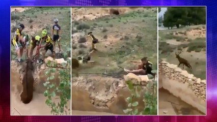 Viral Video : So Brave,Cyclists Rescue Deer From Ditch!
