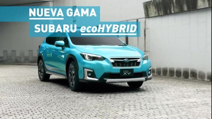 Nueva Gama Subaru ECO HYBRID