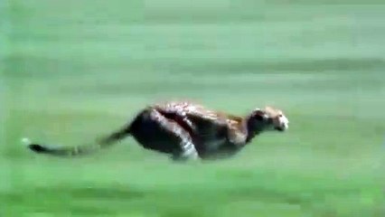 아산출장서비스 아산출장서비스O1OE2104E4640｛카톡MBM6｝ 아산출장마사지샵 아산출장안마on아산출장안마cos여3♪⇔∃마사지황형♥∌≪