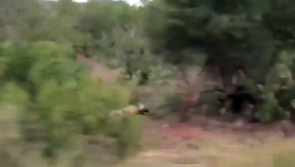 청주출장서비스 청주출장서비스O1OE6579E3382｛카톡COM23｝ 청주출장마사지샵 청주출장안마on청주출장안마cos여3♪⇔∃마사지황형♥≴≪