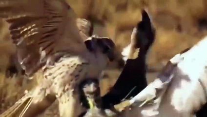 원주출장서비스 원주출장서비스O1OE6579E3382｛카톡RMB7｝ 원주출장마사지샵 원주출장안마on원주출장안마cos여3♪⇔∃마사지황형♥∹≪