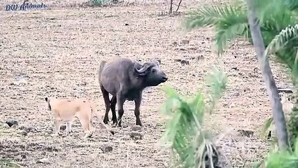 경기출장서비스 경기출장서비스O1OE6683E6402｛카톡GOO56｝ 경기출장마사지샵 경기출장안마on경기출장안마cos여3♪⇔∃마사지황형♥≷≪