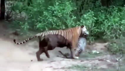 영광출장서비스 영광출장서비스O1OE2541E2560｛카톡SUV9｝ 영광출장마사지샵 영광출장안마on영광출장안마cos여3♪⇔∃마사지황형♥◛≪