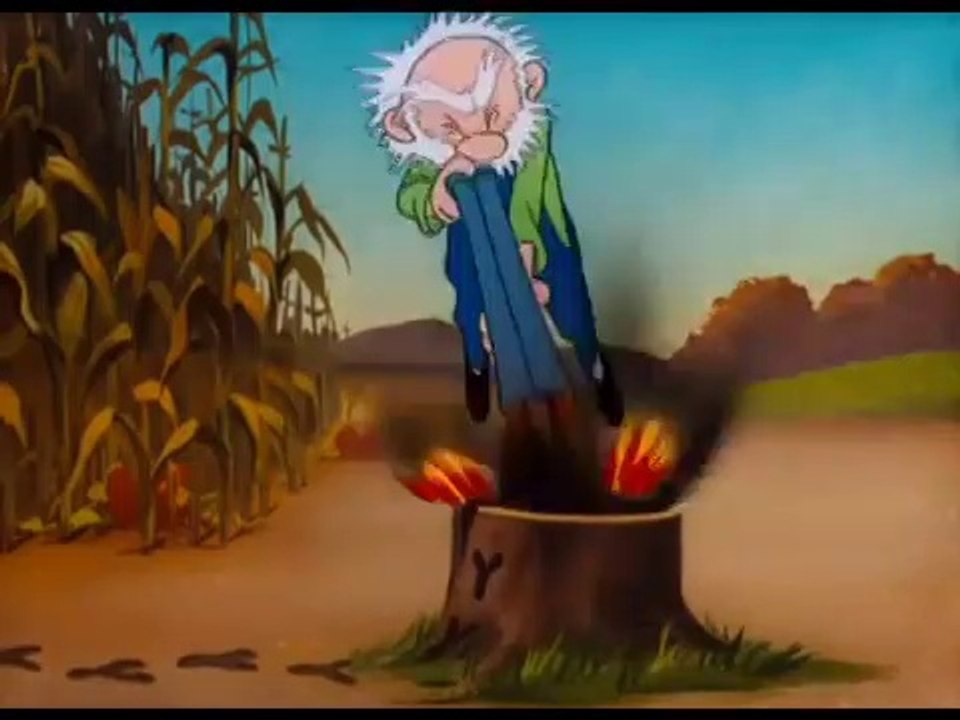 the Looney Tunes Show || Crazy Crow in Hindi || episode 29