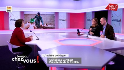 Best Of Bonjour chez vous ! Invitée politique : Christiane Lambert (28/02/20)