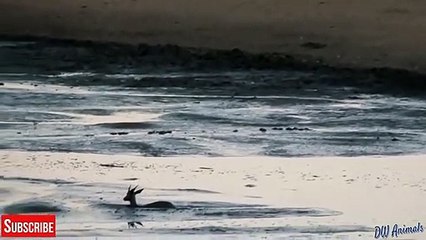 병점출장서비스 병점출장서비스O1OE6579E3382｛카톡RMB7｝ 병점출장마사지샵 병점출장안마on병점출장안마cos여3♪⇔∃마사지황형♥⊀≪