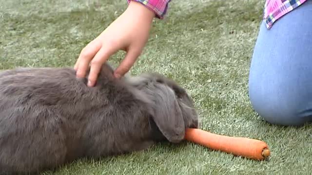 Hoy es el día mundial de las enfermedades raras