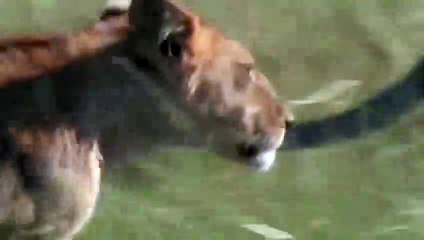 하동출장서비스 하동출장서비스O1Og2154g6609｛카톡LOT45｝ 하동출장마사지샵 하동출장안마on하동출장안마cos여3♪⇔∃마사지황형♥∤≪